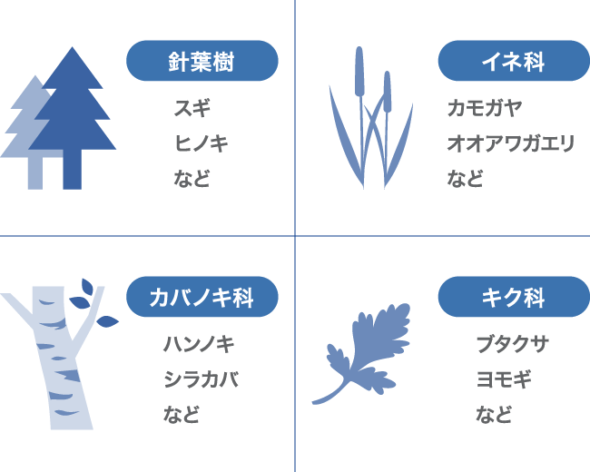 アレルギー性鼻炎の原因