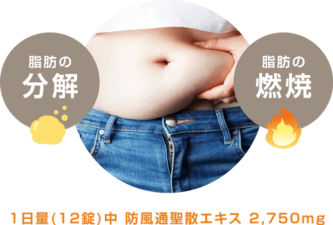 1日量(12錠)中 防風通聖散エキス 2,750mg