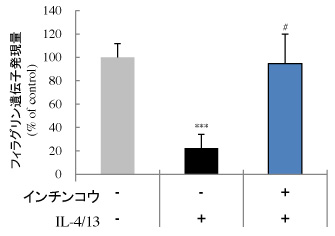 図３：フィラグリン遺伝子発現量