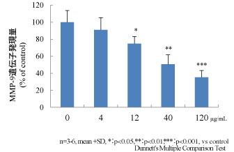 図3：インチンコウエキスによる表皮角化細胞のMMP-9発現抑制作用
