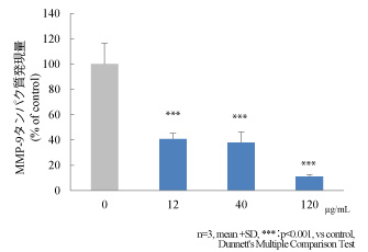 図５_2：インチンコウエキスによる三次元培養表皮モデルのMMP-9発現抑制作用