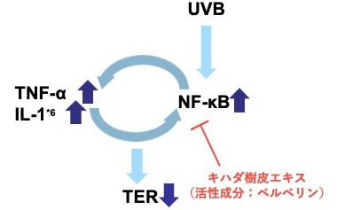 図９