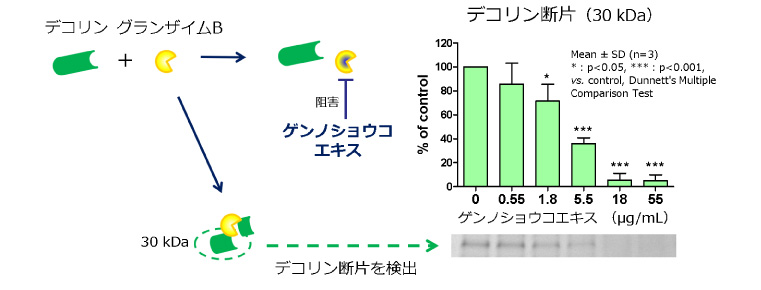 図３