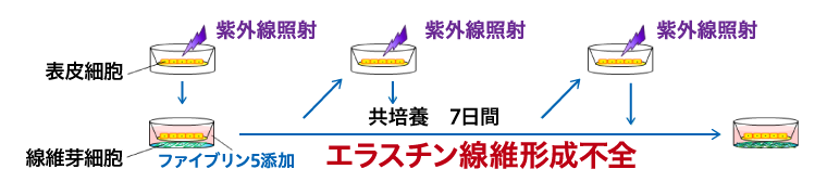 図２