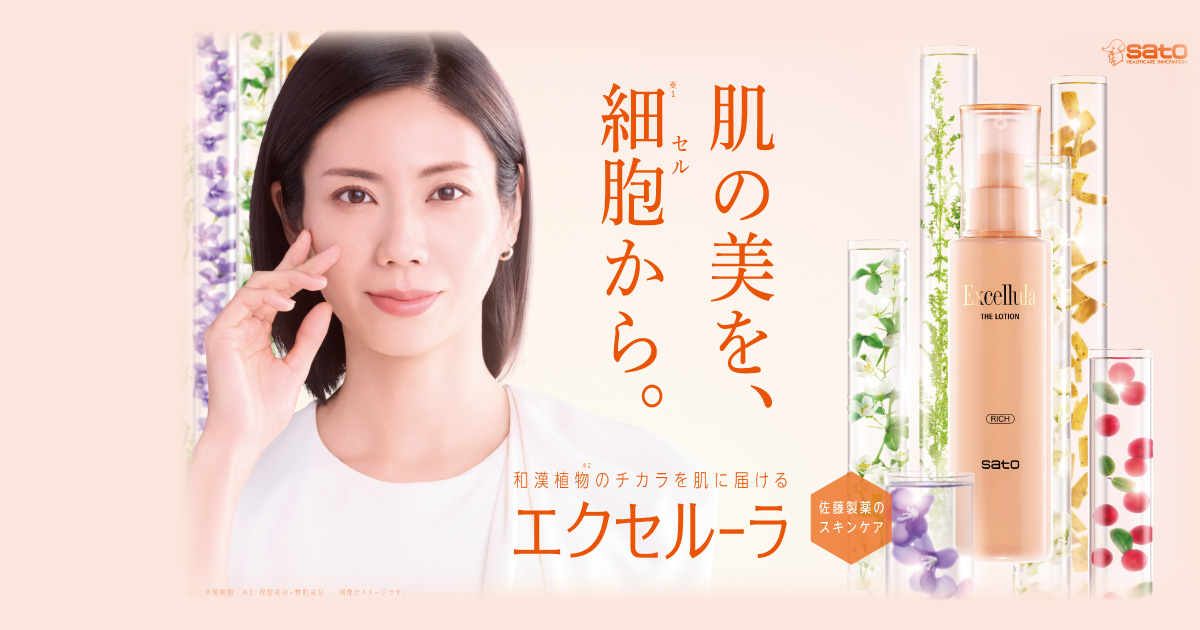 Excellula Visual & Merchandising Evolution 「エクセルーラ ブランド