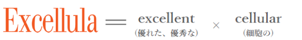エクセルーラ ブランド名の由来　Excellula=excellent × cellular