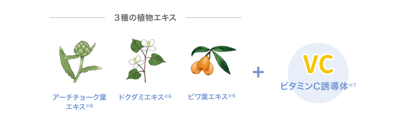 ３種の植物エキス+ビタミンC誘導体 イメージ