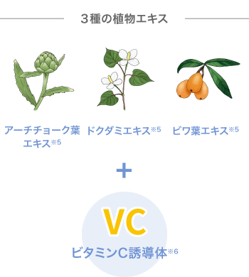 ３種の植物エキス+ビタミンC誘導体 イメージ