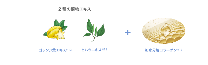 2種の植物エキス　ゴレンシ葉エキス　ヒハツエキス　加水分解コラーゲン イメージ