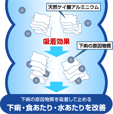 下痢の原因物質を吸着して止める 下痢・食あたり・水あたりを改善　イラストイメージ