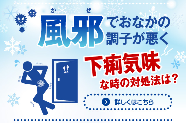 柔らかい スメクタテスミン 10包 下痢 食あたり 水あたりに 4987316012520-5